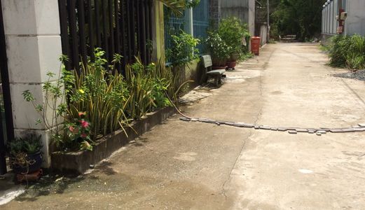 Bán Gấp 1122m2 Đất, Đường Nhánh Hương Lộ 11, Xã Quy Đức, Huyện Bình Chánh.