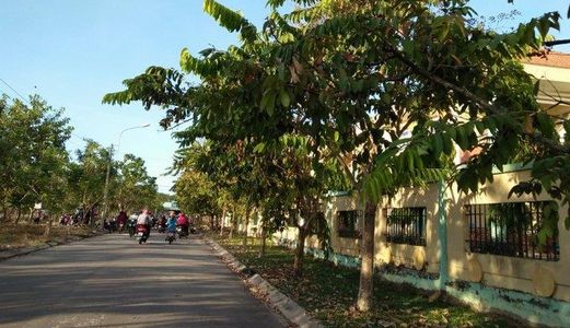 Bạn Có Muốn Sở Hữu Một Khu Đất Lý Tưởng Và Siêu Rẻ Không? 