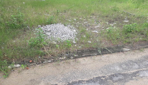 Kẹt Tiền Bán Gấp 54m2 Đất ở 14 Đường 8a, Trường Thạnh .Q.9