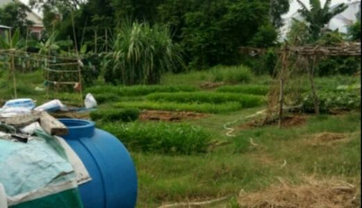 Bán Đất Biệt Thự Thuộc Dự Án KDC Bách Khoa Quận 9.