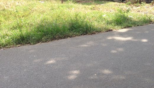 Đất Thổ 87M2 Phú Đông- Nhơn Trạch,6X14.5, Hẽm 4M