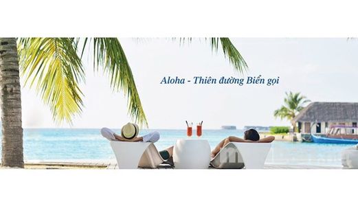  Mở Bán Căn Hộ Nghỉ Dưỡng Aloha Codotel Bình Thuận, Mô Hình Kinh Doanh Do Donald Trump Sáng Lập.