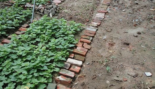 Bán Lô Đất Đẹp 61 M2, 46 Triệu/m2  Kinh Doanh Tốt Đối Diện Đai Học Kiểm Sát Dương Nội, Hà Đông