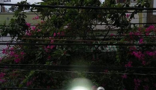 Bán Nhà Mặt Tiền Hẻm 69 Hướng Tây Bắc, Phường An Hòa, Võ Văn Kiệt.