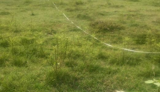 Đất Thổ Sổ Riêng Đường Tỉnh Lộ 9. Dt: 10X40M. Giá 650Tr