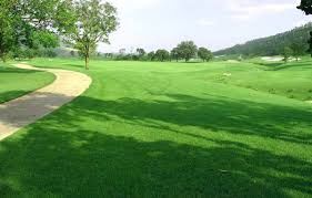 Cần Bán Gấp Lô Đất Xây Dựng Hẻm Xe Hơi Đường Đống Đa Đà Lạt