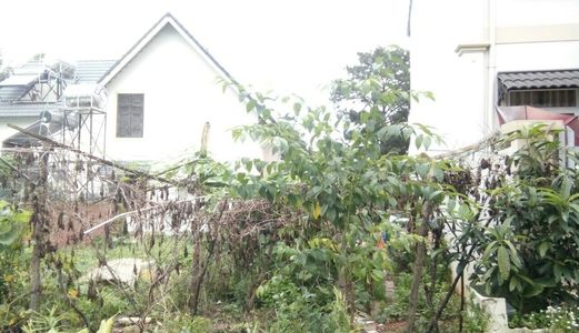 Bán Lô Đất Biệt Lập Tại Đường Lý Nam Đế, Đxd Toàn Bộ 200.52M2, 10.9X18.4M, Giá 1.8 Tỷ