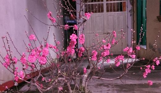 Bán Đất Lạc Long Quân Tây Hồ 46m2, Mt 4,2M, 3,4 Tỷ, Cách Ô Tô 20m