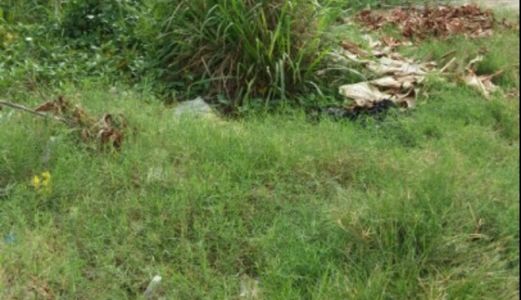 Bán Đất Nền Nhà Phố Lô B Kdc Bách Khoa Quận 9.