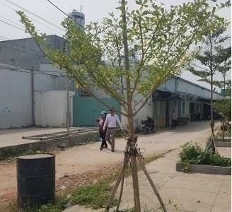 Chỉ Với 999Tr Bạn Đã Sỡ Hữu Ngay 1 Nền Đất Shr 55M2 Tại Quận Bình Tân 