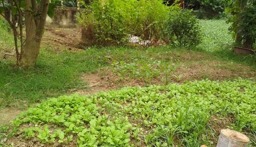 Chính Chủ Bán Đất Tổ 4 Thượng Thanh, Long Biên, Dt 97M, Giá 20Tr/m. Lh Thu 0934549288