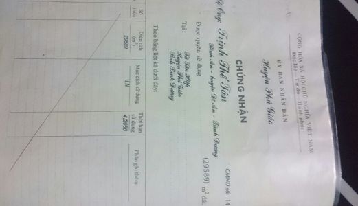 Cần Bán Vườn Cao Su 4 Năm Tuổi Cách Ngã 3 Phước Sang 200 M