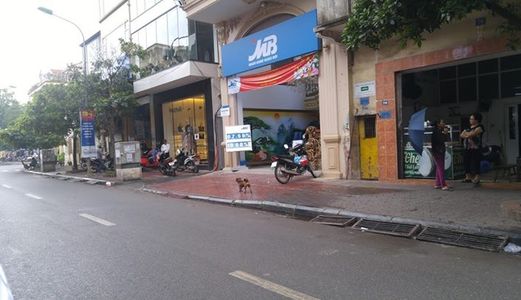 Mặt Phố Vũ Tông Phan, 125M2 Mặt Tiền 10.5M Cưc Hiếm, Đất Nở Hậu, Tiện Xây Tòa Nhà Kinh Doanh