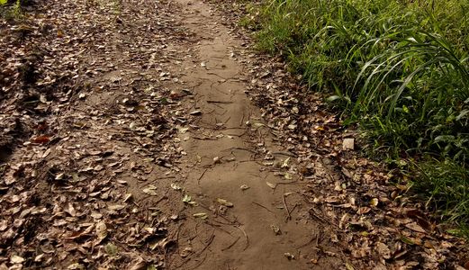 Đất Đầu Tư Giá Cạnh Tranh Liên Hệ 0915191402