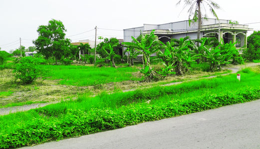 Cần Bán 1700M2 Đất Phong Phú Bình Chánh Chỉ 5,3 Tỷ