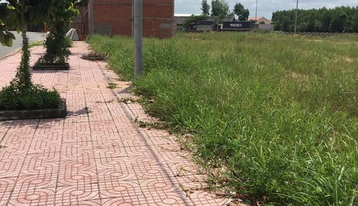 Cần Tiền Cần Bán Gấp Lô Đất Thổ Cư Giá Cả Thương Lượng (5X20M)