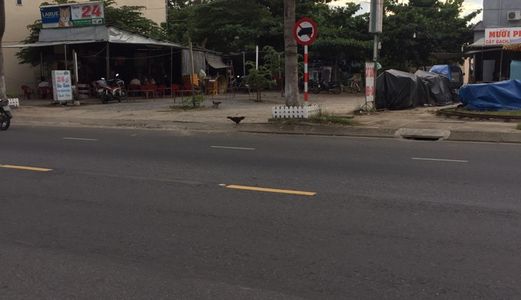 Bán Đất Đường Trần Văn Trà, Hướng Đông, 83M2, Đường 10M5, Đn.