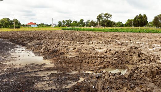 Bán 5020 M2 Đất Bình Chánh Mt Võ Văn Thu, Ngang 70m, Chỉ 1,3Tr/m2