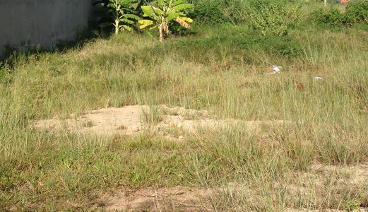 Đất Cổ Mân Mai 4 Hướng Đông Quận Cẩm Lệ Không Nhà Thờ Đường 5,5M