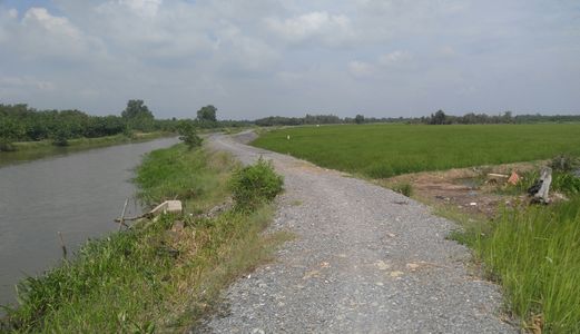 Có 2 Lô Đất Nông Nghiệp Rẻ Nhất Hóc Môn Chỉ 450K/m2