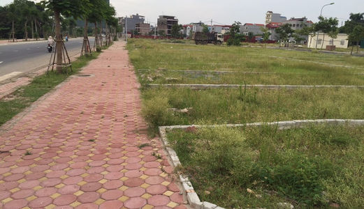  Cần Bán Gấp 2 Lô  5X20, Đường Lâm Quang Ly, Cát Lái Chỉ 630Tr/nền Shr