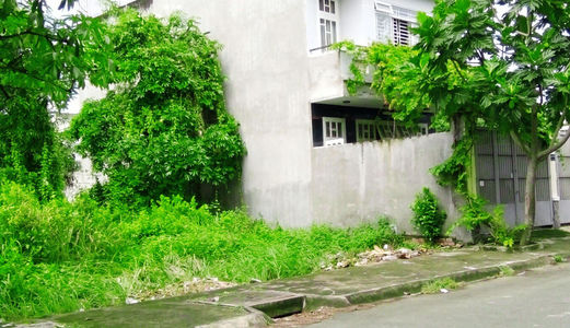 Bán 532M2 Đất Full Thổ Cư, Giá 8Tr/m2, Kdc Nhơn Đức, Nhà Bè, Hẻm Xe Hơi, Vào 100M. Ngang 18.5M, Shr