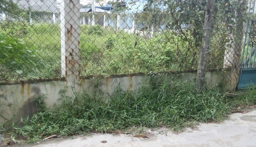 Đất Đường Vườn Lài,quận 12