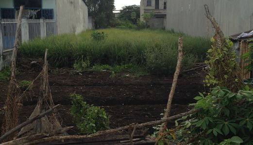 Đất Thổ Cư Xã Phú Hữu 930Tr/130M2-Nhơn Trạch-Mt Đường Bê Tông 7M-Lý Thái Tổ 