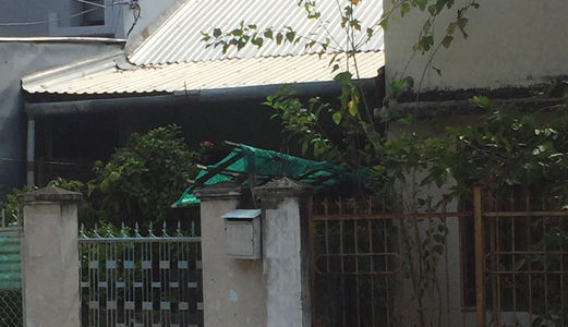 Cần Bán Gấp Nhà Nguyễn Thiện Thuật, Phường Tân Lập, Tp. Nha Trang