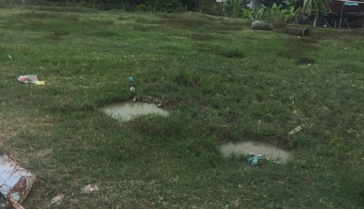 Đất Bình Chánh, 1.160m2 Thổ Cư Mặt Tiền Nhánhhương Lộ 11, Chính Chủ, Giá 3.5tỷ 