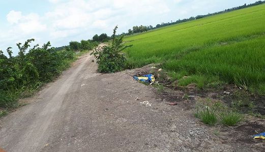 Bán Đất Nông Nghiệp Cách Dương Công Khi Hóc Môn 500M Giá 450K/m2 Lh 0962932576