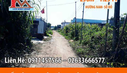 Đất Tại Hiệp Thạnh- Đức Trọng Diện Tích 241M2 Giá Chỉ 960 Triệu Đồng.