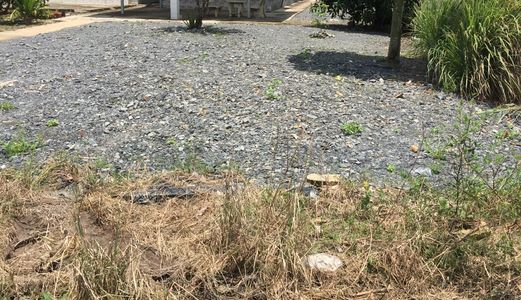 Cần Tiền Bán Gấp 302 M2 Đường Đoàn Nguyên Tuấn, Bình Chánh