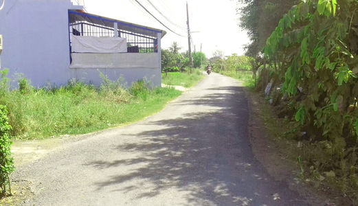 Bán Nhà 100M2(5X20M) Đường 835A ,Giá Bèo 750 Tr 