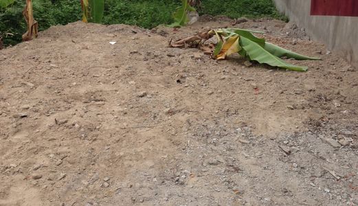 Bán Đất Đẹp Đường 5,5M Cổ Mân Mai 4 Hướng Đông Nam Cẩm Lệ Giá Đầu Tư