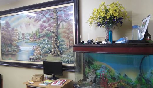 Bán Gấp Nhà Cực Hiếm Hào Nam, Dt 35M2, Giá Cực Rẻ.