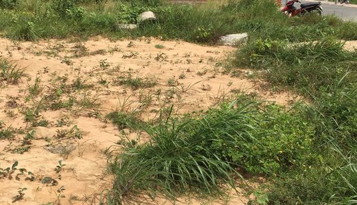 Cơ Hội Đầu Tư Chưa Từng Co Lợi Nhuận Lên Tới 100Tr,sản Phẩm Cực Đẹp, Đầy Đủ Tiện Ích. Lh:0982205819