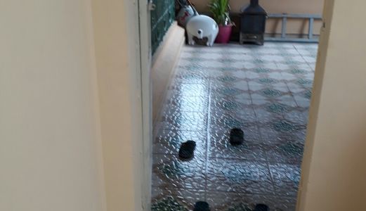 Ô Tô Vào Nhà Phương Liệt, Thanh Xuân 50M2, 5,5 Tỷ Giảm 5,25 Tỷ 