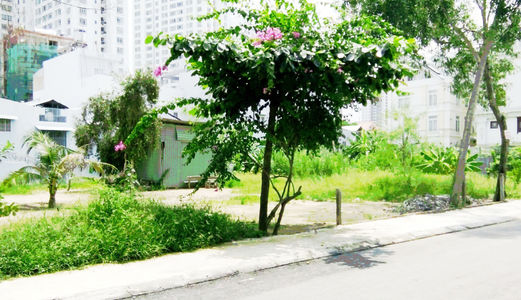 Bán Đất Thổ Cư Dt 140M2 (7X20) Khu Lập Phúc, Lê Văn Lương, Nhà Bè, Lh: 0166.599.4903