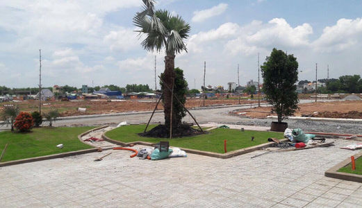 Đất Giáp Tphcm Trung Tâm Hành Chính Bến Cát, Thích Hợp Đầu Tư:430Tr/100M2