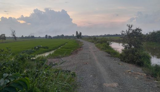 Hiện Mình Bán Đất Nông Nghiệp Huyện Hóc Môn Giá 450K/m2