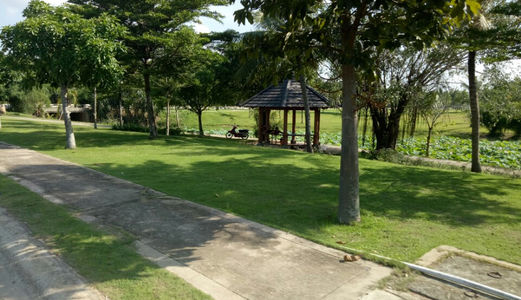 Thanh Lý Đất Bình Dương Giá Rẻ, Số Lượng Có Hạn.