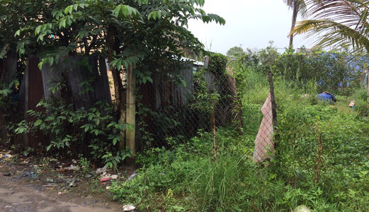 Bán Gấp Lô Đất 251M2, Giá: 600Tr, Xã Mỹ Lộc, Huyện Cần Giuộc, Long An