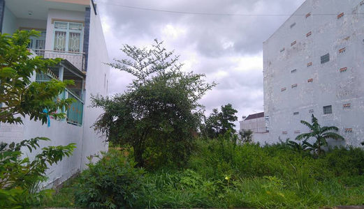 Phá Sản Bán Gấp 80M2 Đất Thổ Cư - Shr - Đường Lâm Văn Bền, Q7 - Liên Hệ Gấp: 01229.610.461 Phượng