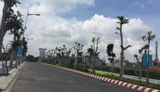 Bán Đất Đường Bùi Thanh Khiết, Shr