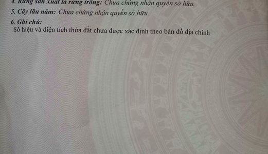 Bán Đất Đường Huỳnh Xuân Nhị Quận Cẩm Lệ Phường Hoà Xuân Tp Đà Nẵng 