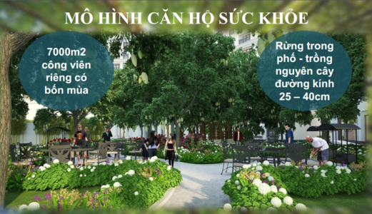 Cảnh Báo Của Chủ Đầu Tư Khi Khách Hàng Mua Chung Cư The Emerald Mỹ Đình 0904 885 933