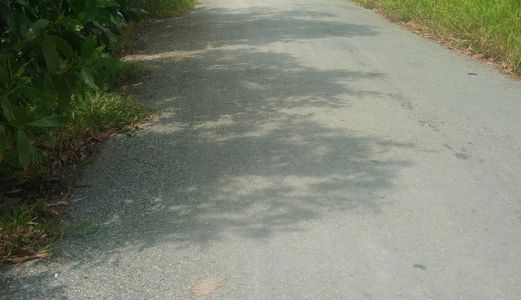 Bán 280m2 Đất Mặt Tiền Đường Tân Liễu, Xã Hưng Long, Huyện Bình Chánh, Giá: 1,3 Tỷ