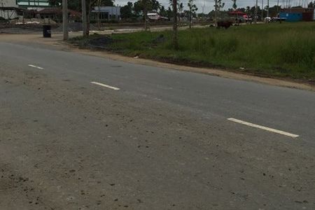 Bán Đất Bình Chánh 239Tr/nền, Đường Tân Túc, Xã Bình Chánh