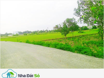 Đất Bán Đường Số 4 Q2,có Sổ Riêng,100M2